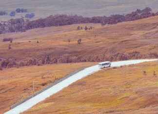 Van Cleef & Arpels Jewelry: Why It’s a 2025 Luxury Must-Have Van Cleef & Arpels Jewelry: Why It’s a 2025 Luxury Must-Have