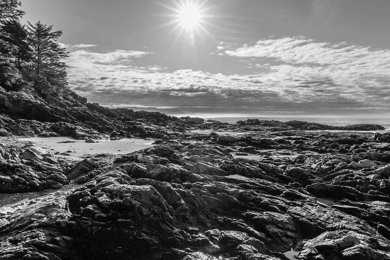 Offensive Strategies: Vancouver Whitecaps FC