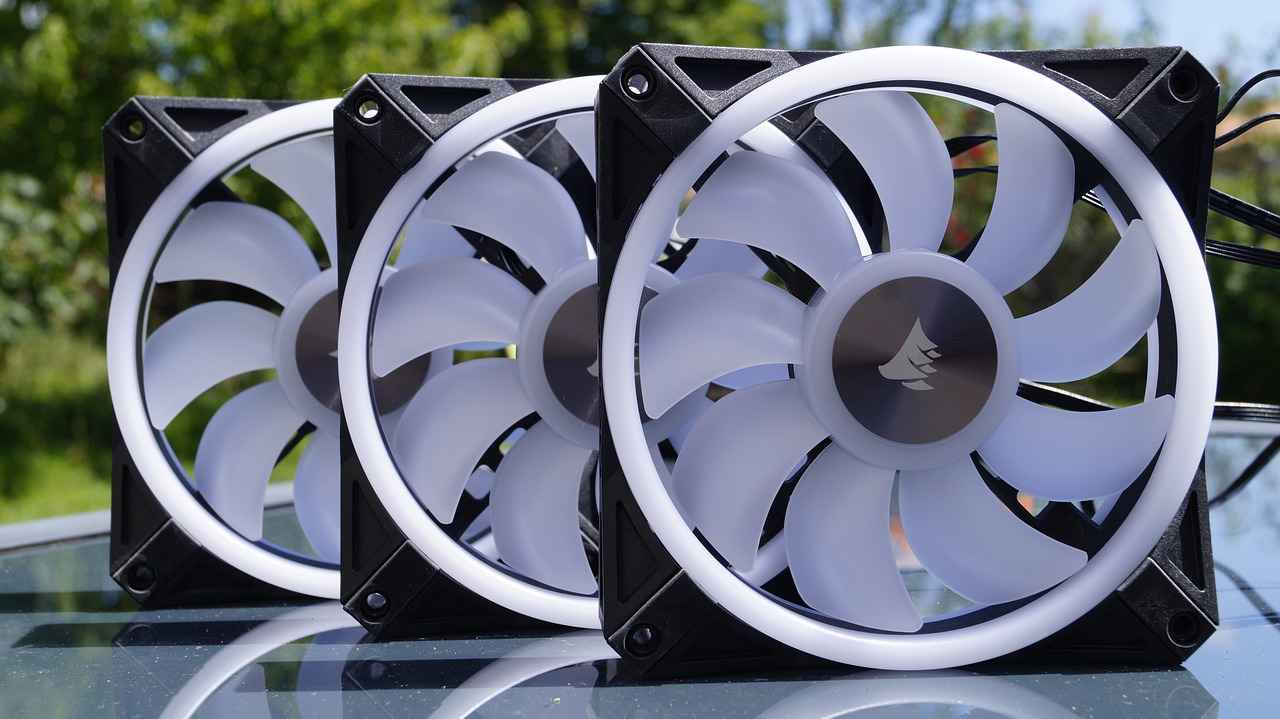 Fan Reactions and Game Atmosphere