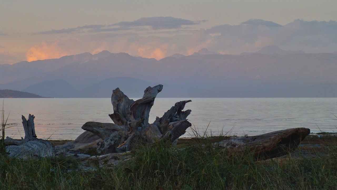 Key Players to Watch in Sporting Kansas City