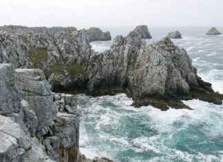 Vape Customization Trends: The Rise of Personalized Vapes Vape Customization Trends: The Rise of Personalized Vapes