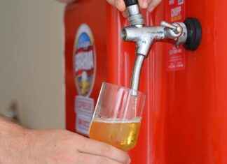 Vegetable Choppers That Will Revolutionize Your Cooking Experience Vegetable Choppers That Will Revolutionize Your Cooking Experience