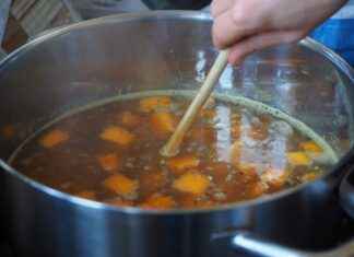 Vegetable Choppers vs. Traditional Knives: What’s the Difference? Vegetable Choppers vs. Traditional Knives: What’s the Difference?