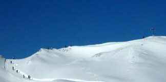 Walker Scobell Age and What Roles Made Him Famous Walker Scobell Age and What Roles Made Him Famous