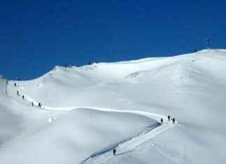 Walker Scobell Age and What Roles Made Him Famous Walker Scobell Age and What Roles Made Him Famous