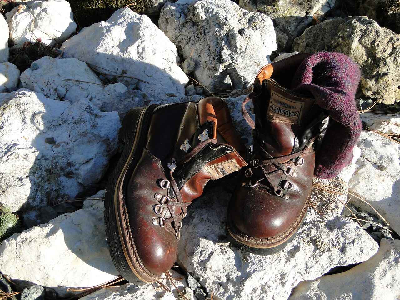 Who is Walker Scobell?