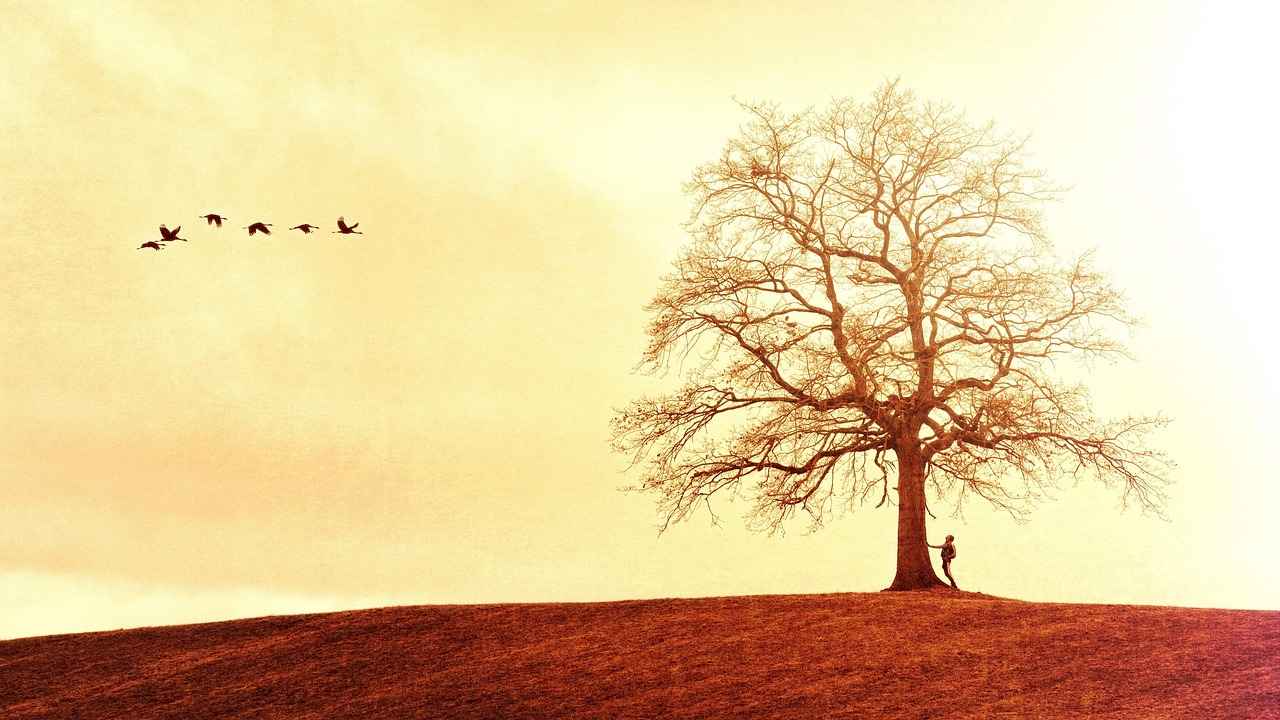 walker scobell age and what roles made him famous 7