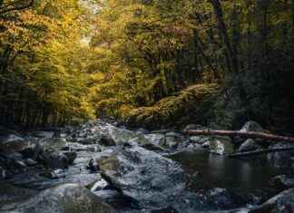 Watch ESPN Live Free: Best Ways to Stream Sports Online Watch ESPN Live Free: Best Ways to Stream Sports Online