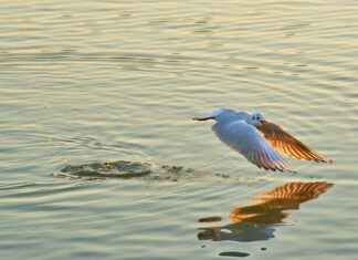 Water Fasting for a Week: What Happens to Your Body? Water Fasting for a Week: What Happens to Your Body?