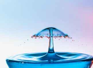 Water Fasting Rules: What You Can and Can’t Do Water Fasting Rules: What You Can and Can’t Do