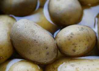 What Boils Faster: Cold or Hot Water? The Science Behind It What Boils Faster: Cold or Hot Water? The Science Behind It