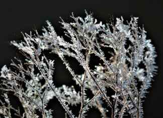 What Freezes Faster: Cold or Warm Water? What Freezes Faster: Cold or Warm Water?