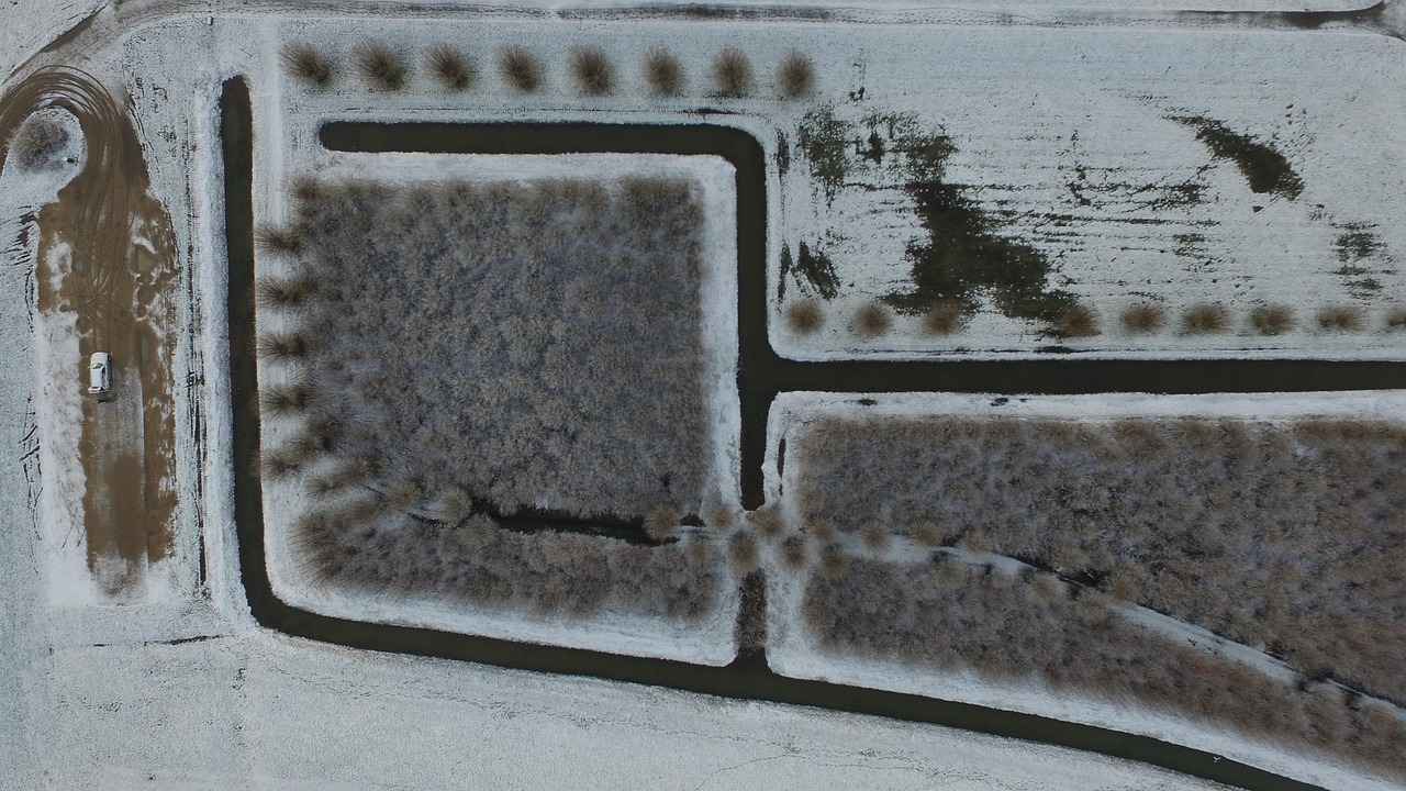 What Freezes Faster: Hot or Cold Water? 1 The Mpemba Effect Explained