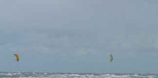 What Is Chounyuu? The Surprising Trend Behind the Word What Is Chounyuu? The Surprising Trend Behind the Word