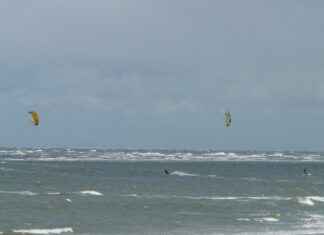 What Is Chounyuu? The Surprising Trend Behind the Word What Is Chounyuu? The Surprising Trend Behind the Word