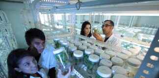 What Is Eronme? The Obscure Keyword Everyone’s Googling What Is Eronme? The Obscure Keyword Everyone's Googling