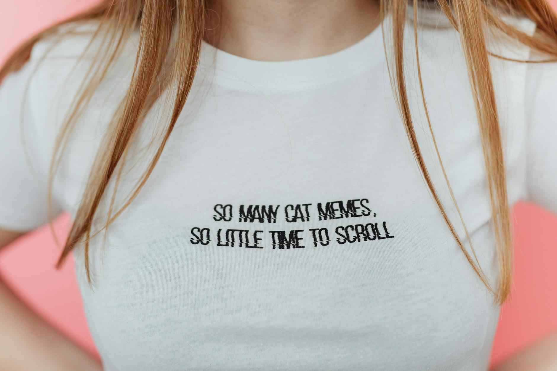 Impact on Internet Culture