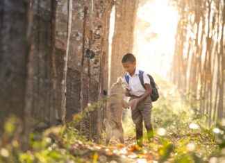 What is the Best Way to Manage Your Student Loans in 2025? What is the Best Way to Manage Your Student Loans in 2025?