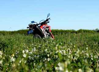 What Made the 02 Honda Civic a Popular Choice? What Made the 02 Honda Civic a Popular Choice?