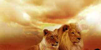 What Time Does It Get Dark? Here’s How to Calculate It Anywhere What Time Does It Get Dark? Here’s How to Calculate It Anywhere