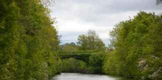 Who Is Shannon Reardon Swanick? The Internet Wants to Know Who Is Shannon Reardon Swanick? The Internet Wants to Know