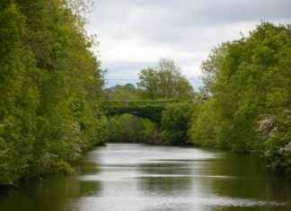 Who Is Shannon Reardon Swanick? The Internet Wants to Know Who Is Shannon Reardon Swanick? The Internet Wants to Know