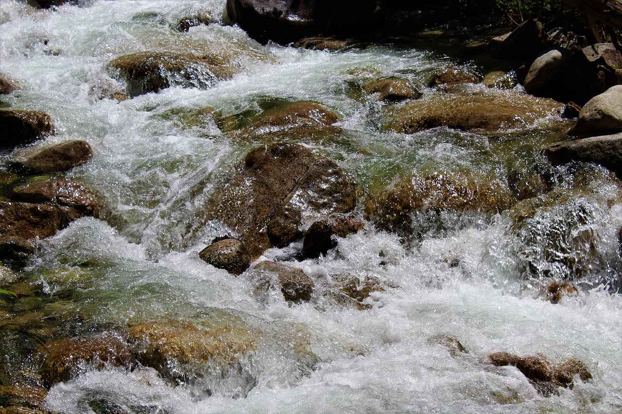 Who Is Shannon Reardon Swanick? The Internet Wants to Know 3 Career Path of Shannon Reardon Swanick