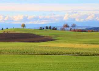 Why a Magnetic Phone Holder is the Best Choice for Car Mounting Why a Magnetic Phone Holder is the Best Choice for Car Mounting