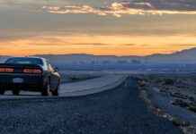 Why Car Phone Holders and Chargers Are a Must-Have for Drivers Why Car Phone Holders and Chargers Are a Must-Have for Drivers