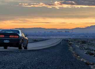 Why Car Phone Holders and Chargers Are a Must-Have for Drivers Why Car Phone Holders and Chargers Are a Must-Have for Drivers