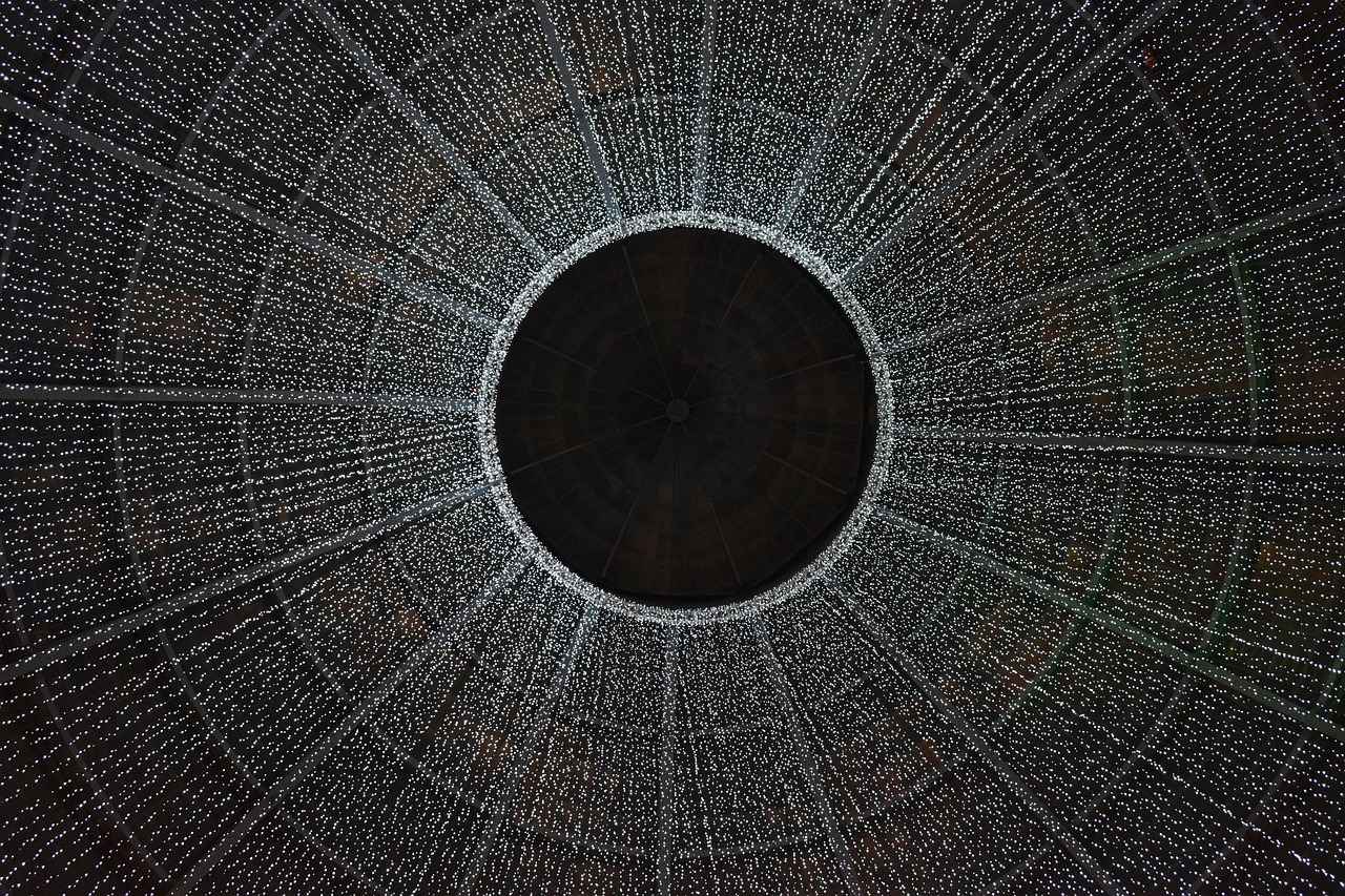 The Role of Online Platforms in Popularity