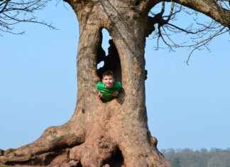 Why Custom T-Shirts Are the Perfect Gift for Any Occasion Why Custom T-Shirts Are the Perfect Gift for Any Occasion