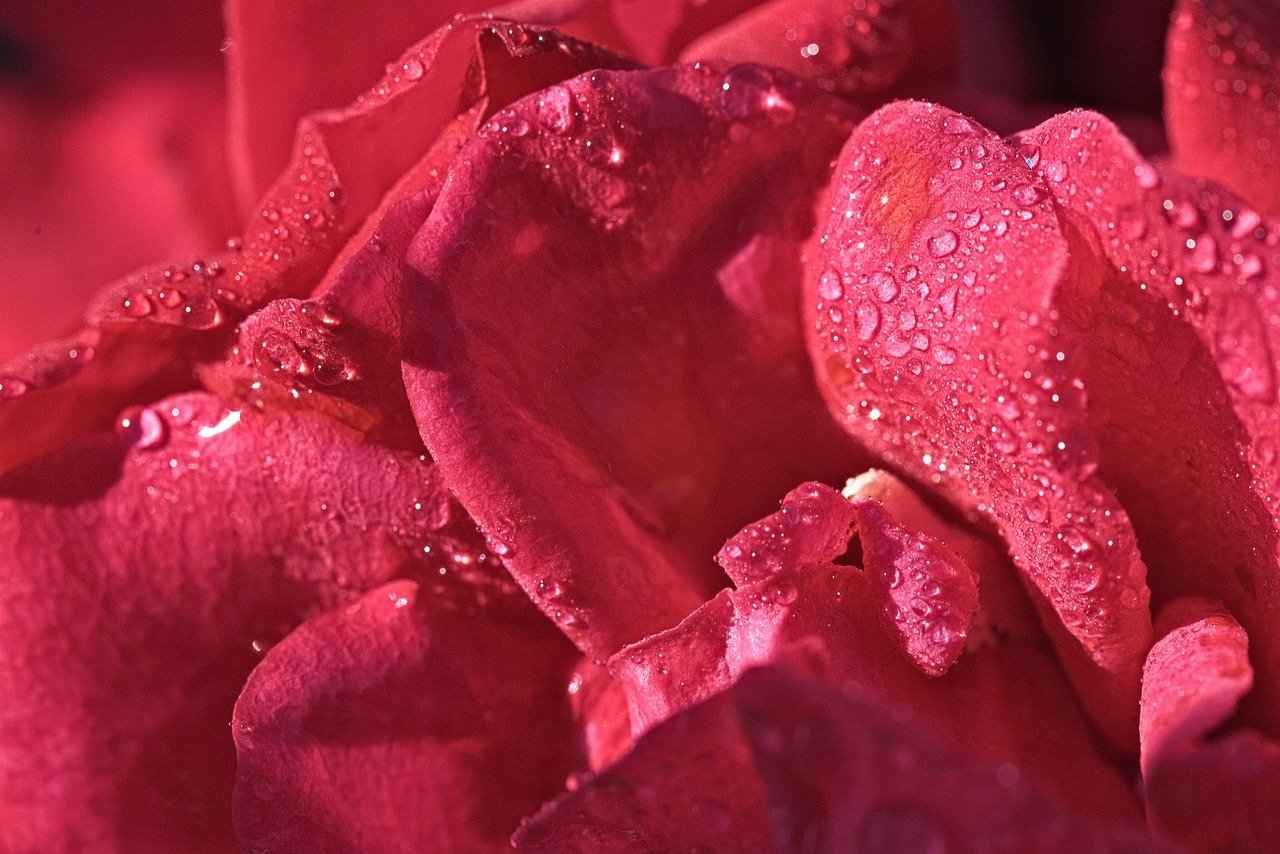 Why Do Some Cultures Wear Red String Bracelets? 7 Frequently Asked Questions