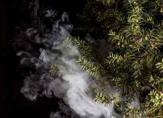 Why Does My Vape Make a Gurgling Sound? Why Does My Vape Make a Gurgling Sound?