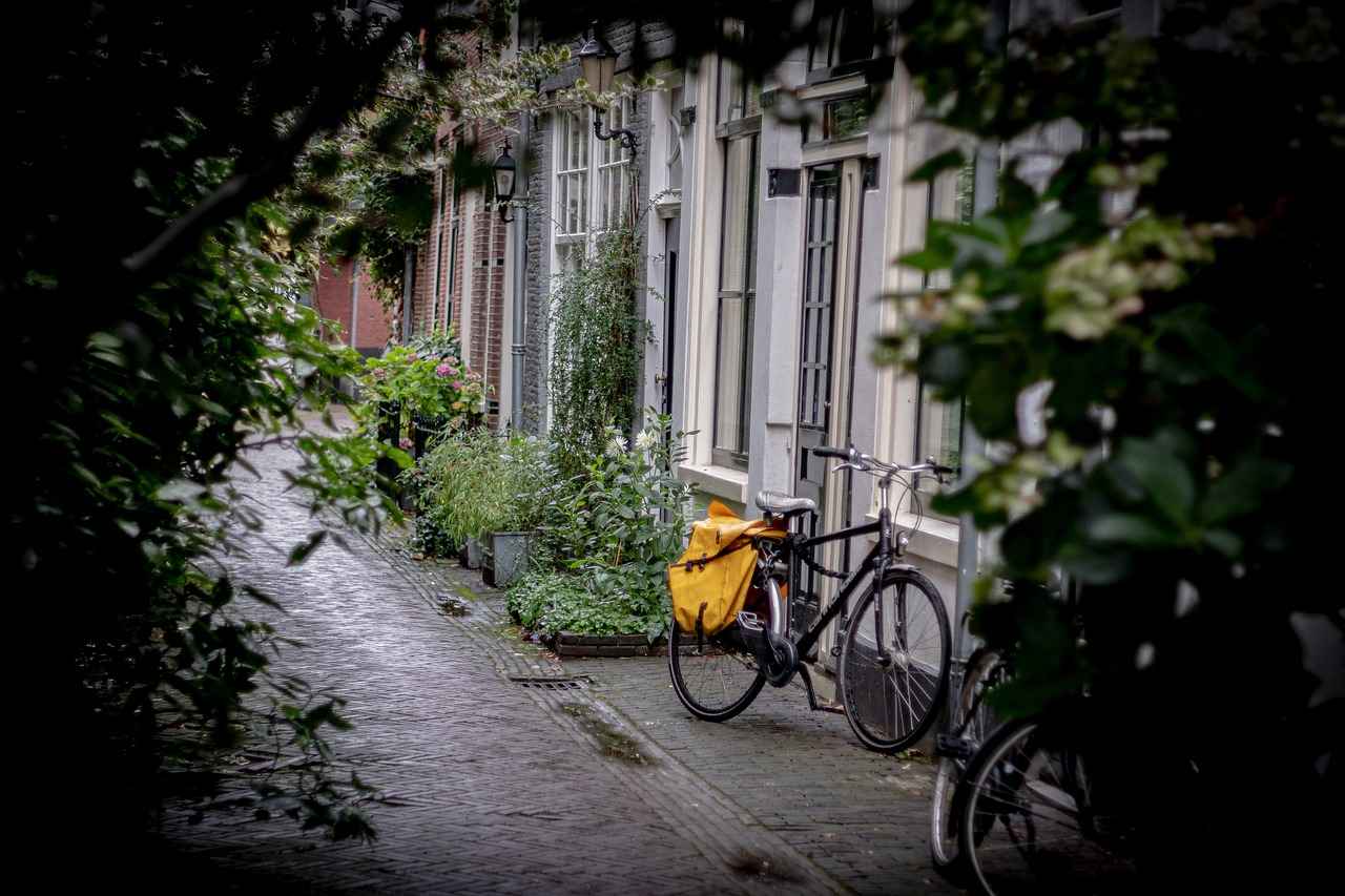 Choosing the Right Fat Tire Electric Bike
