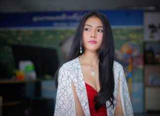 Why I N C R E A Is Sparking Online Curiosity Why I N C R E A Is Sparking Online Curiosity