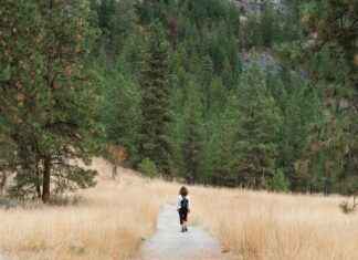 Why New Balance 1400 Hiking Shoes Are Perfect for Trails Why New Balance 1400 Hiking Shoes Are Perfect for Trails