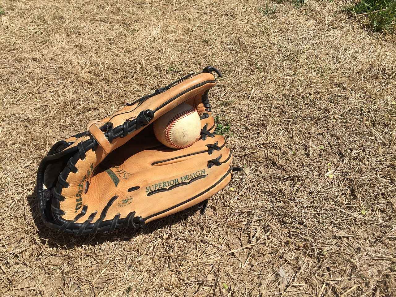 Why New Balance Has the Best Baseball Cleats This Season 4 Style and Aesthetics: Stand Out on the Field