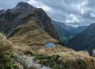 Why New Balance Sneakers Are Always Instagram-Worthy Why New Balance Sneakers Are Always Instagram-Worthy