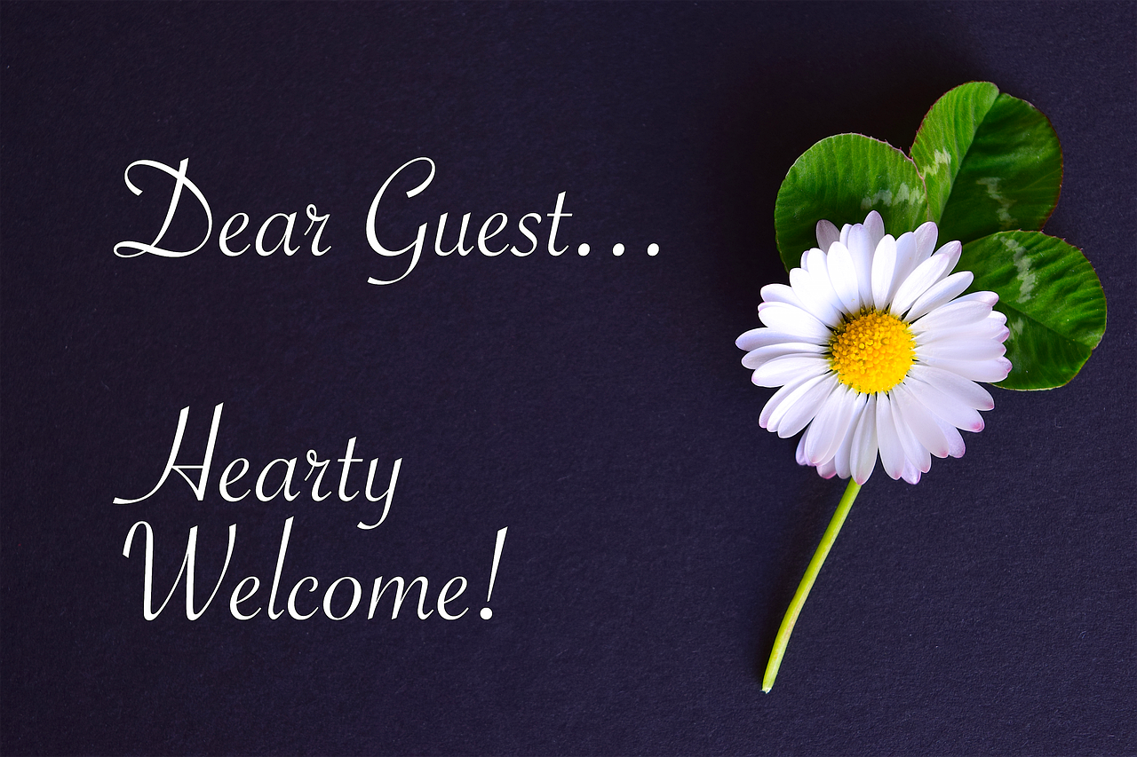 Understanding Guest Blogging