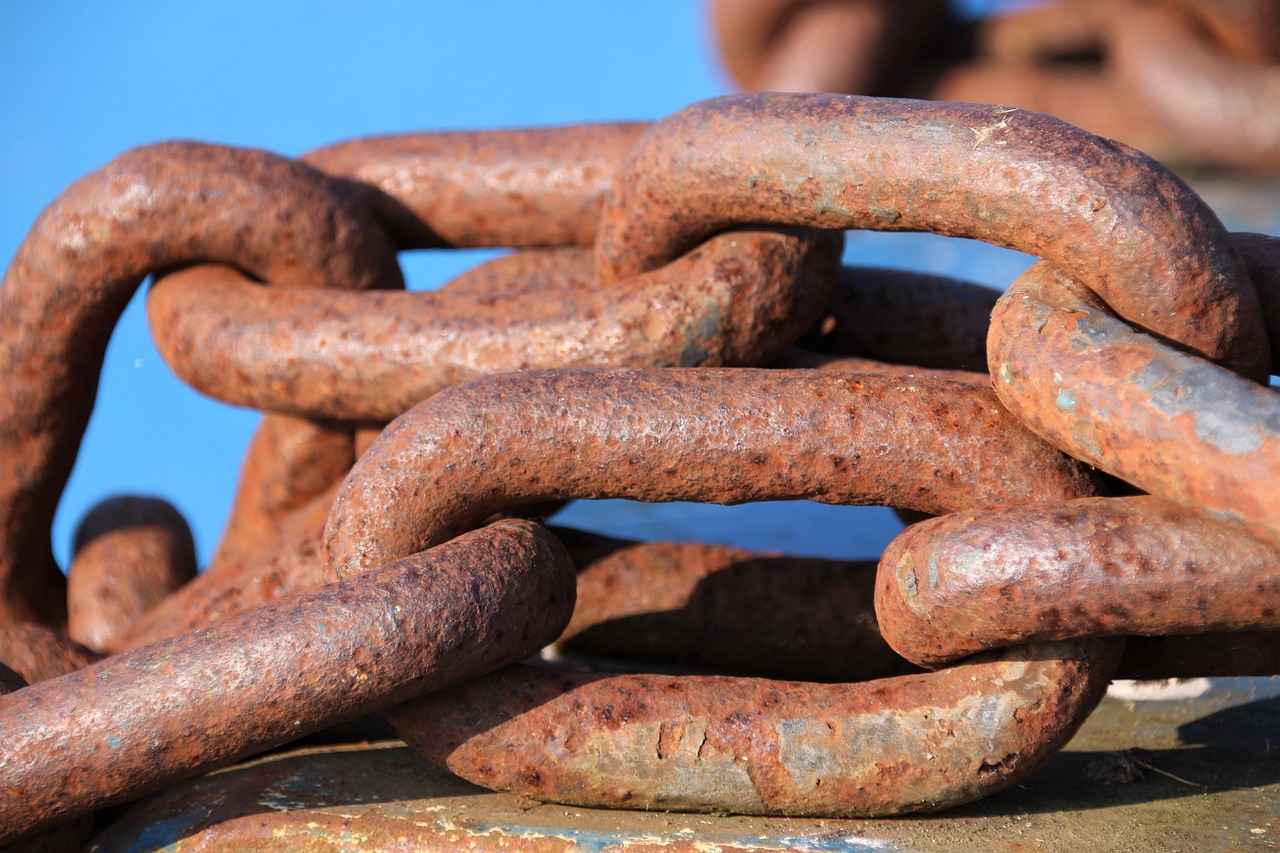 Notable Celebrity Wearers