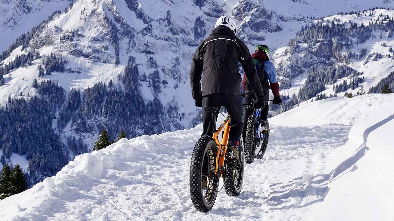 1. Overview of Himiway Electric Bikes