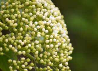 Why You Need an Octopus Phone Holder for Maximum Flexibility Why You Need an Octopus Phone Holder for Maximum Flexibility