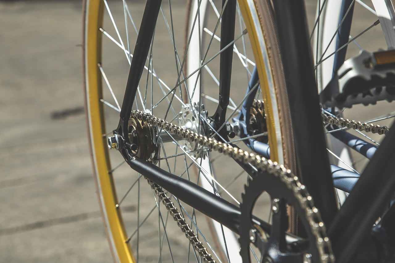 5. Maintenance Tips for Longevity