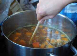 Why You Should Invest in a Quality Vegetable Chopper Why You Should Invest in a Quality Vegetable Chopper