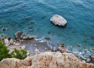 Will Hot Water Boil Faster Than Cold? Find Out Here Will Hot Water Boil Faster Than Cold? Find Out Here