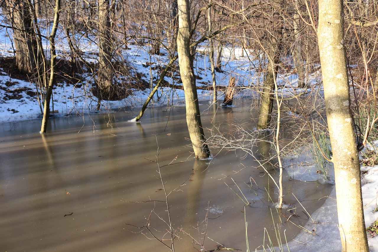 Will Hot Water Freeze Faster Than Cold? A Scientific Breakdown 5 Experiments Supporting the Mpemba Effect