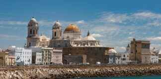 WYF Meaning in Text: What It Really Stands For WYF Meaning in Text: What It Really Stands For