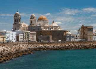 WYF Meaning in Text: What It Really Stands For WYF Meaning in Text: What It Really Stands For