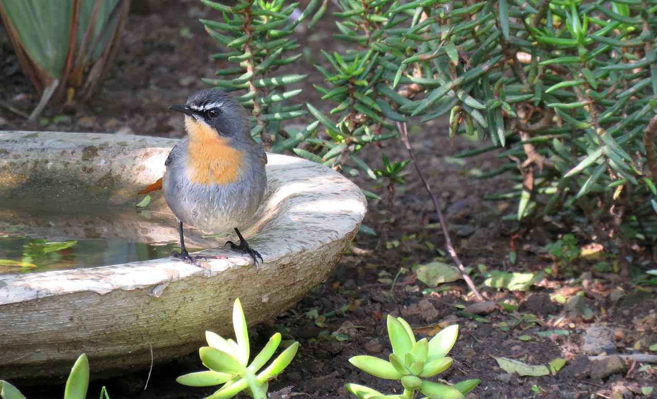 Xmegle Exposed: What’s Really Happening on the Platform 14 Alternatives to Xmegle: What Are Your Options?